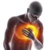 Memes I guess 27