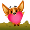 Biscuit Enamorado 16