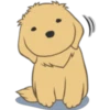 Golden Retriever Puppy 29