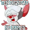PINKY & CEREBRO 19