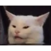 Reaction Meme / Kepnitz 9