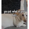 homophobic dog 6