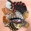 Maquillaje Labial  6 6
