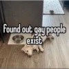 homophobic dog 8