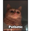 Pathetic.