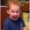 Gavin 8