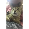 Ashie Smiles 5