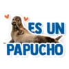 ES UN
PAPUCHO