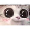 NYEONG 7