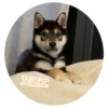 返工