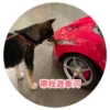 帶我遊車河