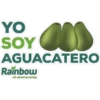 OL
AGUACATERO
YO
SOY
Rainbow
all about growing