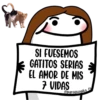 Flork Piropos - Paraguayita @wastick_maydroid 19