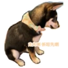 先喇 係咁先喇