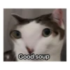 cAt 6
