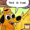 THIS IS FINE.
12
//