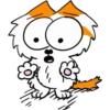 您