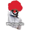 Why tf you lyin