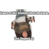 It was at this moment that she knew.
SINODON
BALUSO
She flopped up