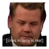 [cries in larry is real]