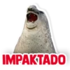 IMPAKTADO
