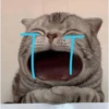 NYEONG 14