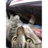Ashie Smiles 12