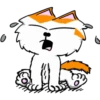 Willi Cat negative Emotions 15