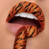 Maquillaje Labial  6 27