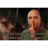 Italia Pizza Pasta Mafia 27