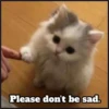 Please don't be sad.