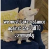 homophobic dog 22