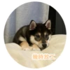 幾時放工