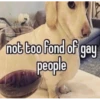 homophobic dog 23