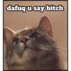 dafuq u say bitch