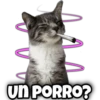 un PORRO?
