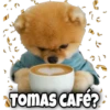 TOMAS CAFÉ?