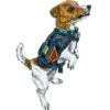 Dog Patron DSNS Ukraine 5