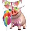 Pig 5