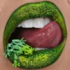Maquillaje Labial  3 13