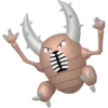 美