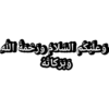 Arabic Z 6