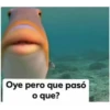 Oye pero que pasó
o que?