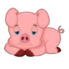 Pig 6
