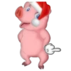 Pig 7
