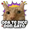 ODA TE DICE
DON GATO