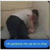 Uh perdona me cai en tu chat