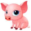 Pig 2 12