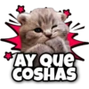 AY Que
COSHAS