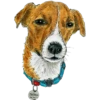 Dog Patron DSNS Ukraine 6